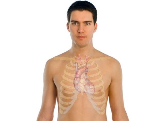 modul în care paraziții afectează organele umane