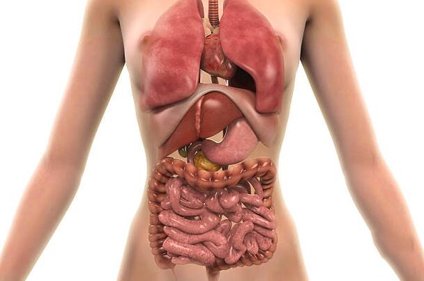 paraziți în corpul uman