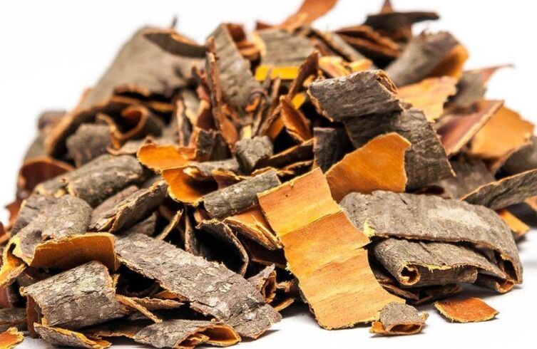 Bark Osina